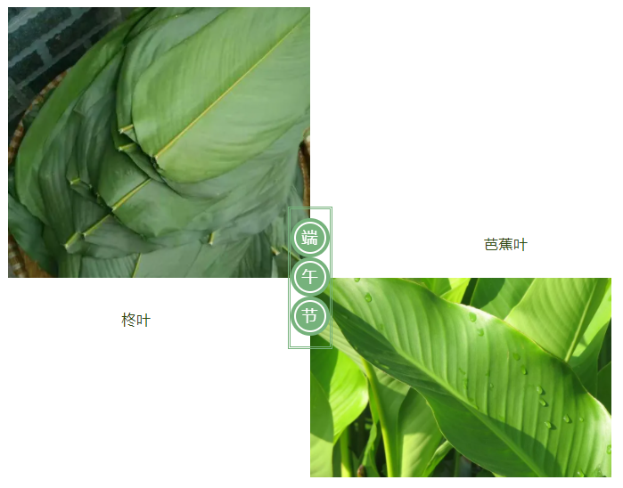 必一·运动(B-Sports)医纺