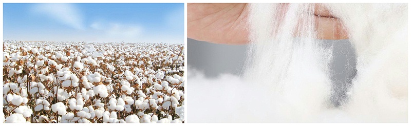 必一·运动(B-Sports)医纺