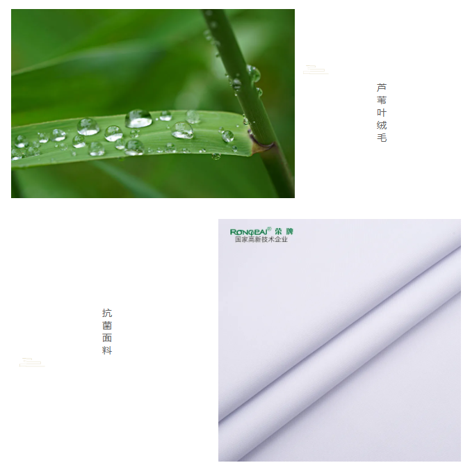 必一·运动(B-Sports)医纺